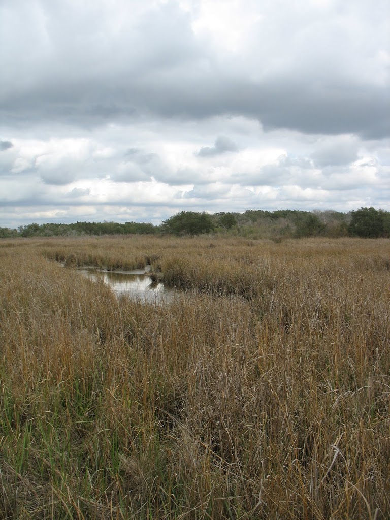 tidal marsh and prairieland