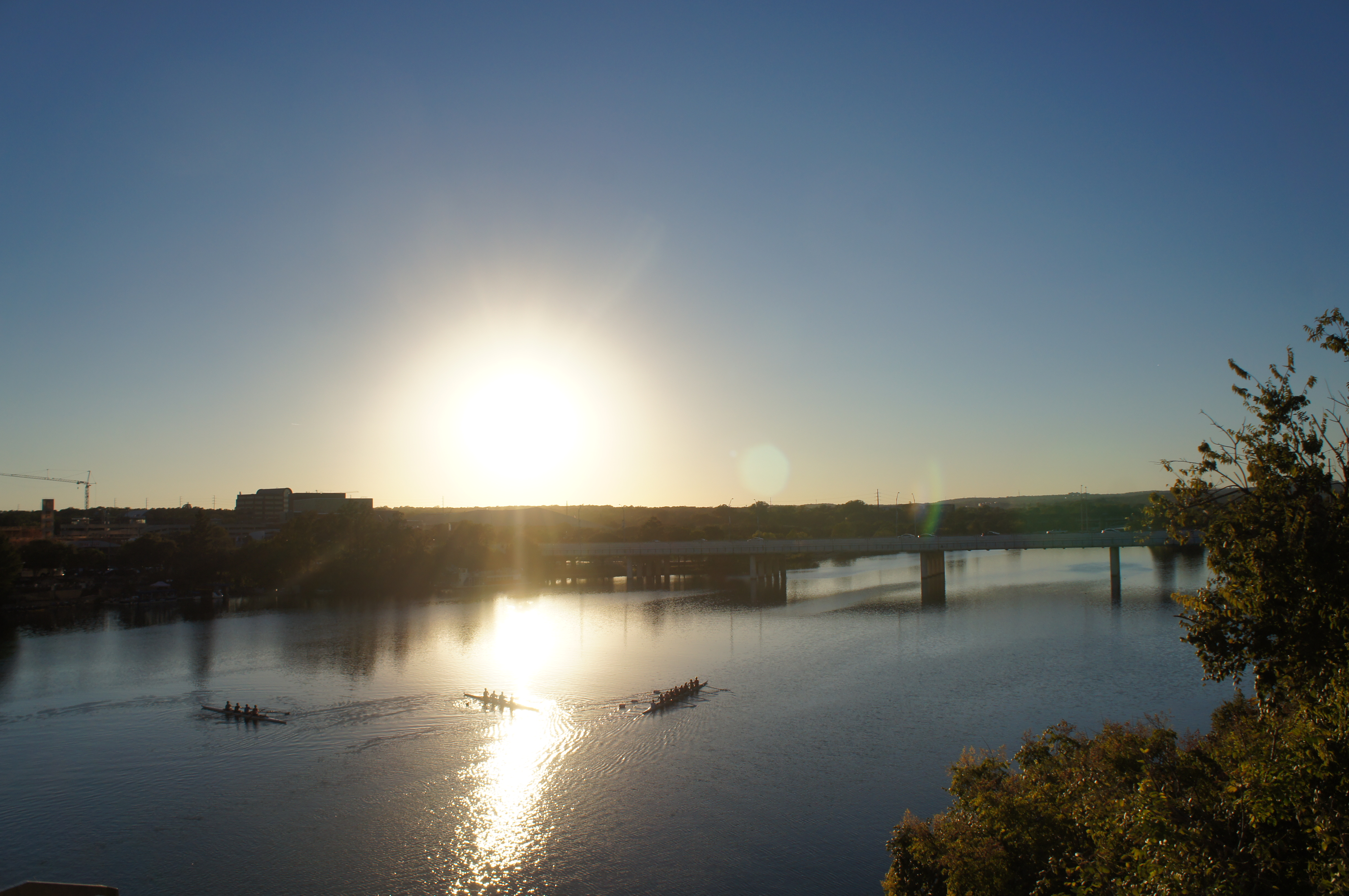 Congress Avenue Bats